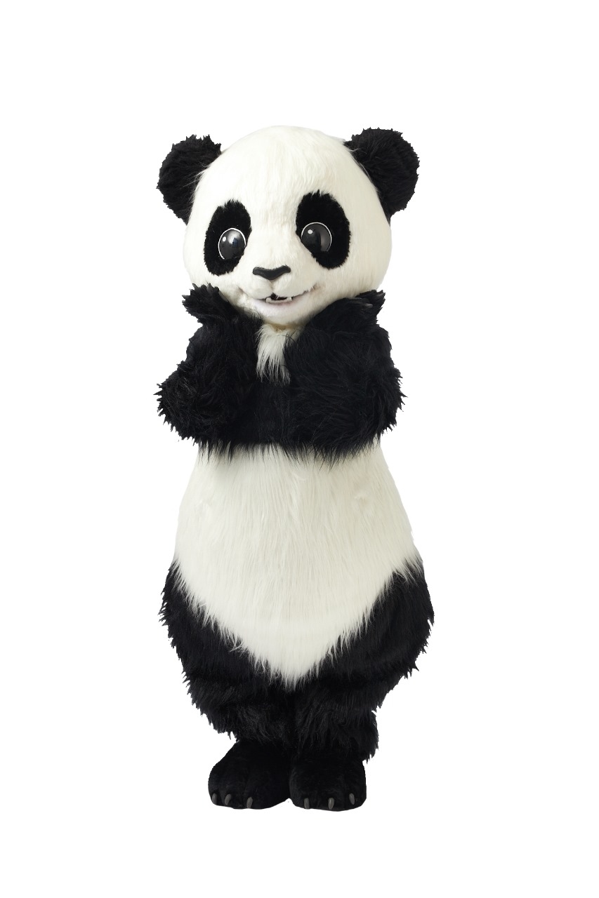 Заказать аниматора на праздник, день рождения