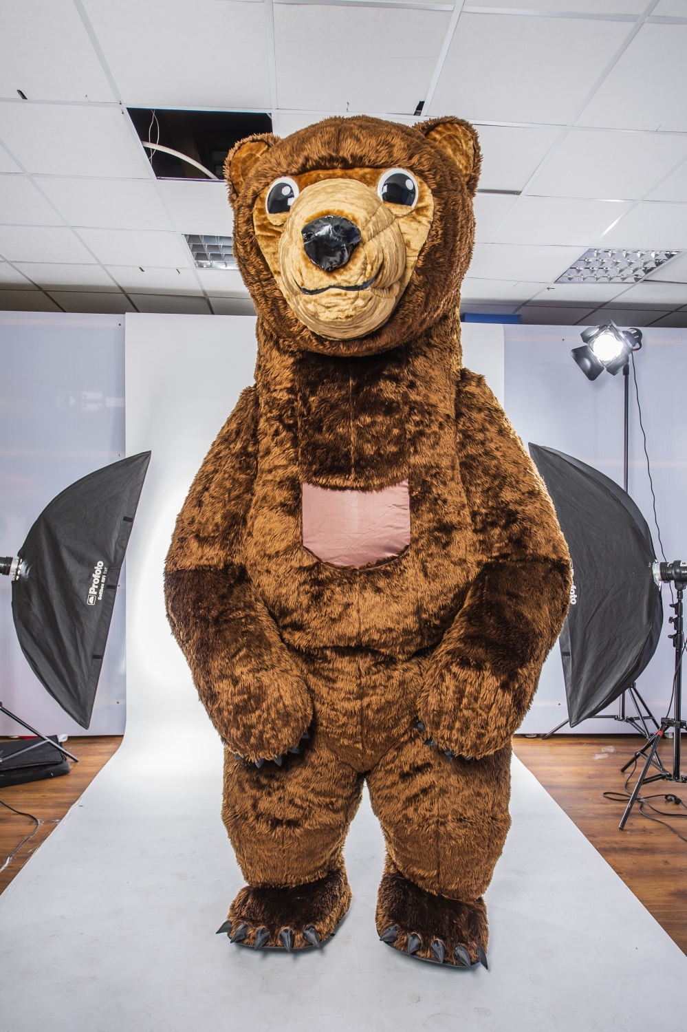 Заказать аниматора на праздник, день рождения