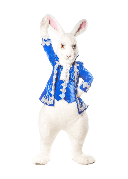 Заказать аниматора на праздник, день рождения