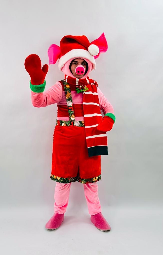 Заказать аниматора на праздник, день рождения