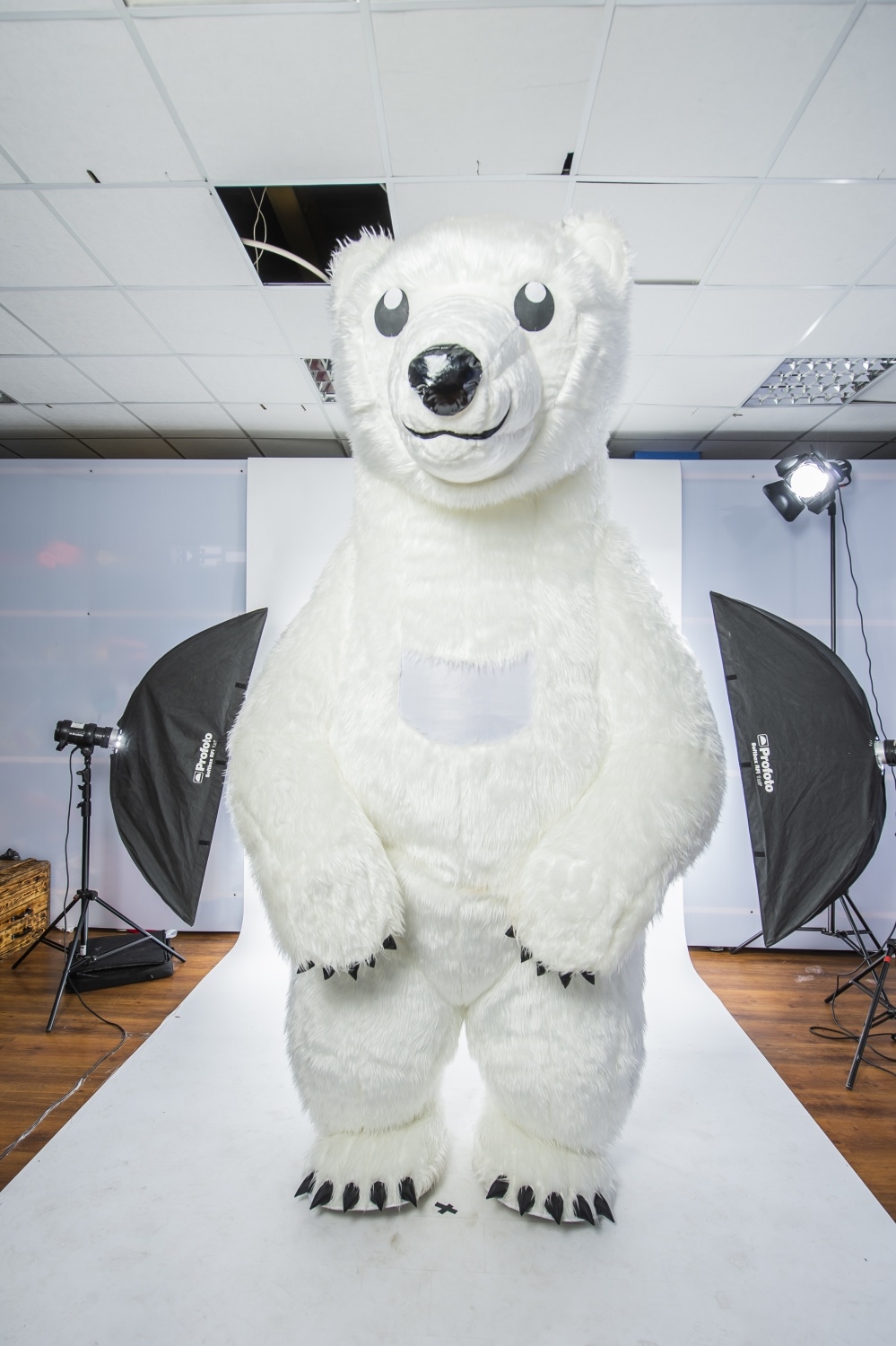 Заказать аниматора на праздник, день рождения