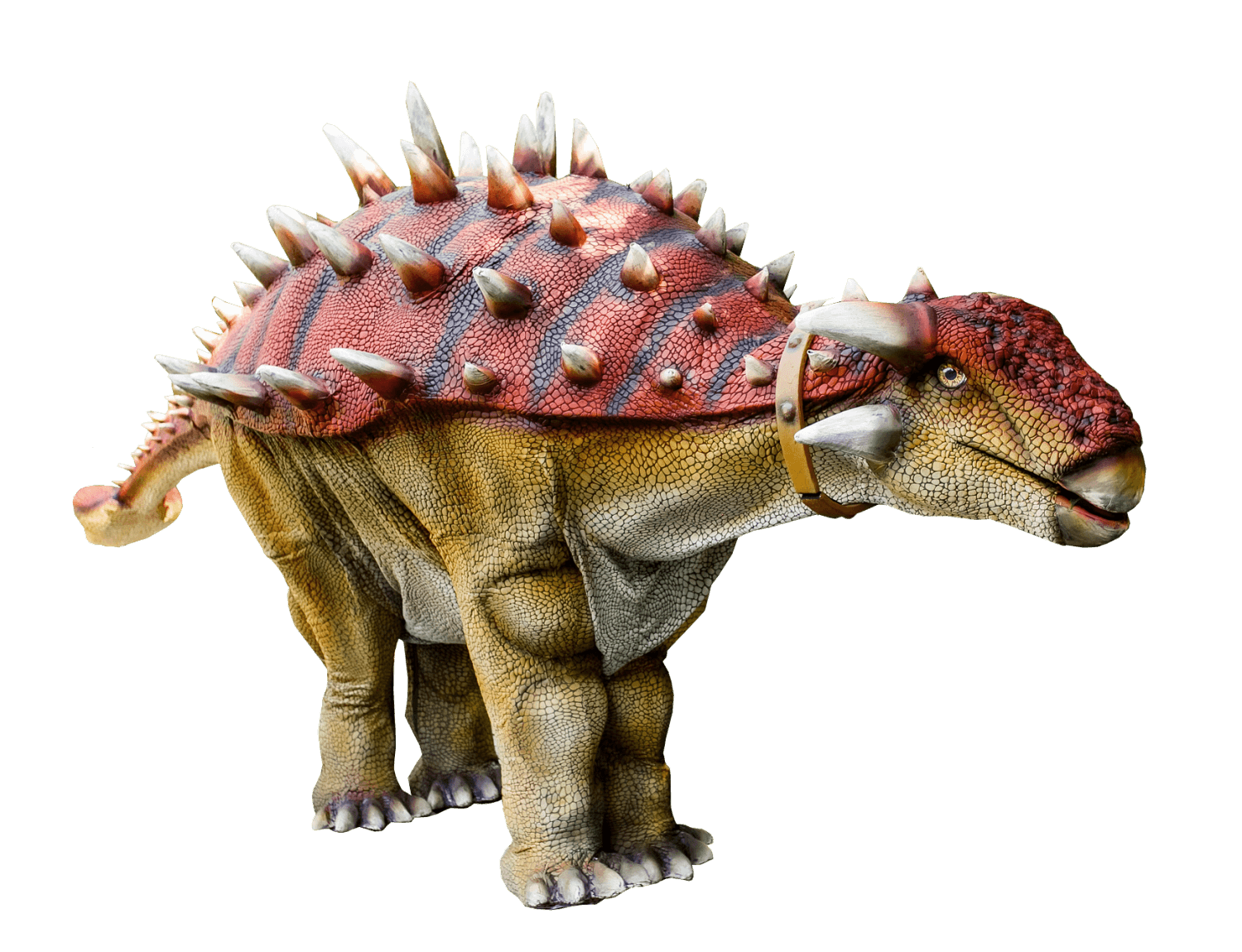 Заказать аниматора на праздник, день рождения