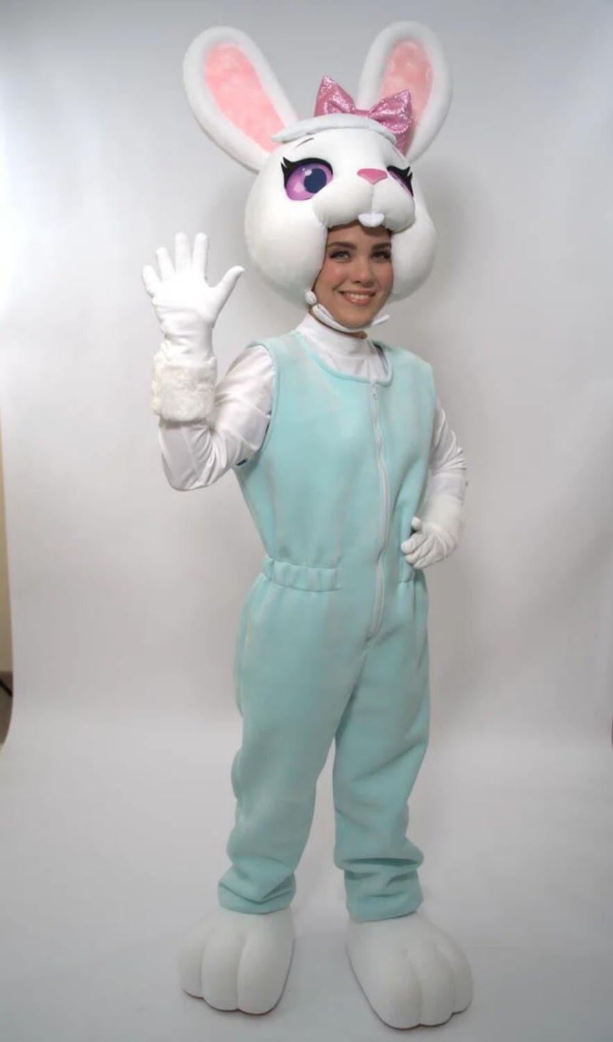 Заказать аниматора на праздник, день рождения