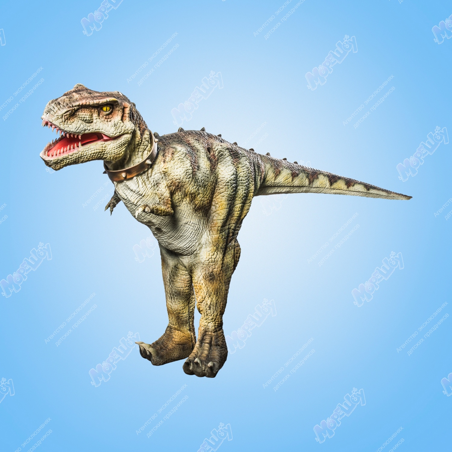 Заказать аниматора на праздник, день рождения