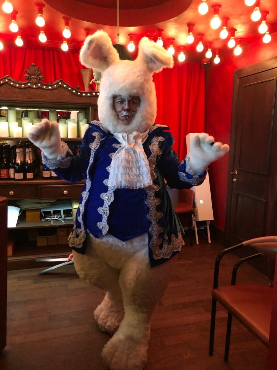 Заказать аниматора на праздник, день рождения