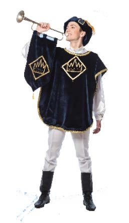 Заказать аниматора на праздник, день рождения