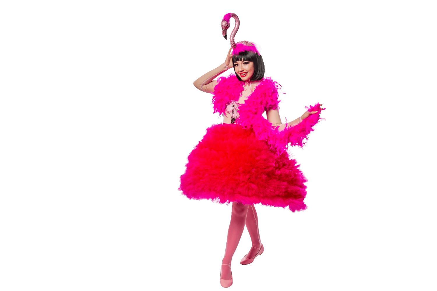 Заказать аниматора на праздник, день рождения