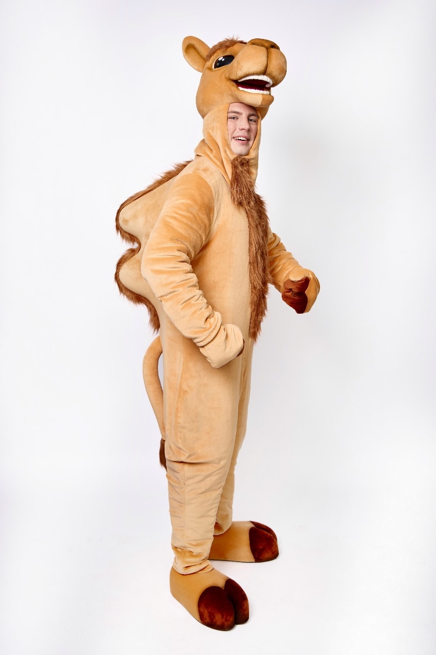 Заказать аниматора на праздник, день рождения