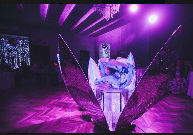 Акробатическое шоу