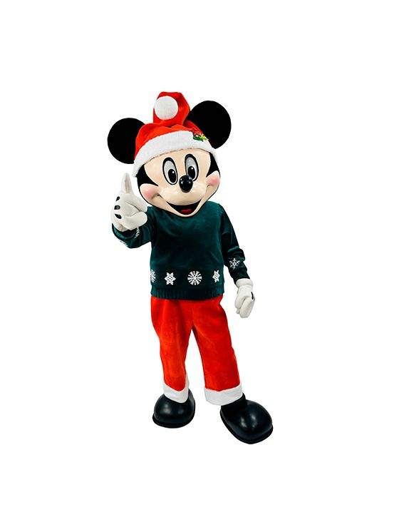 Заказать аниматора на праздник, день рождения