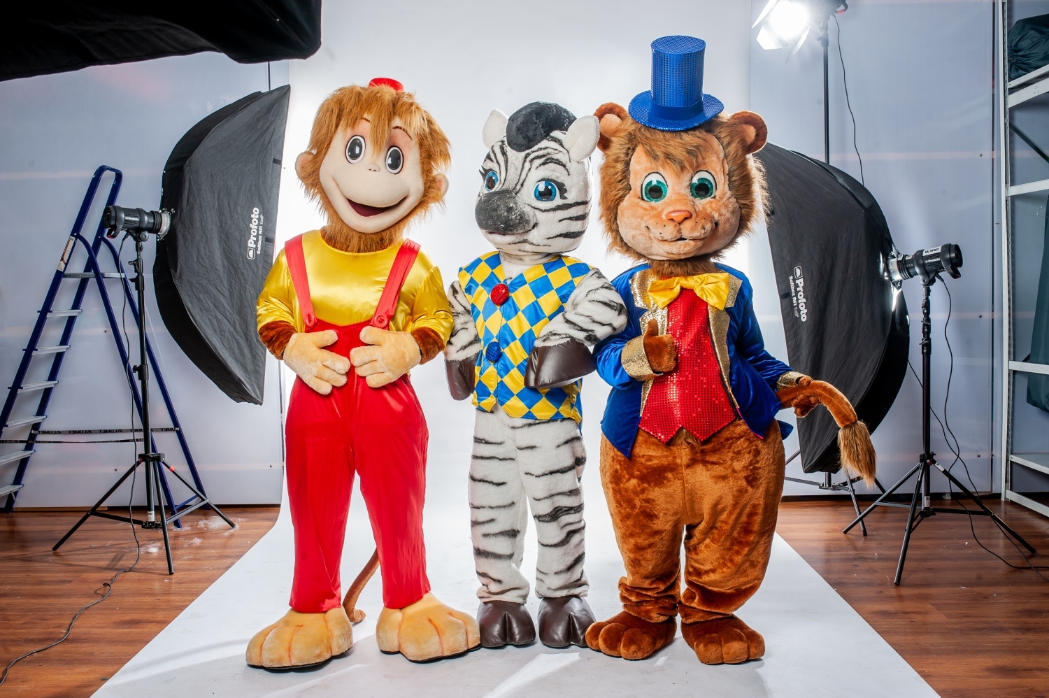 Заказать аниматора на праздник, день рождения