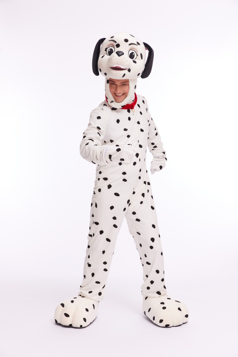 Заказать аниматора на праздник, день рождения