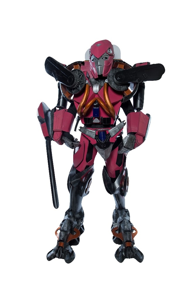 Заказать аниматора на праздник, день рождения