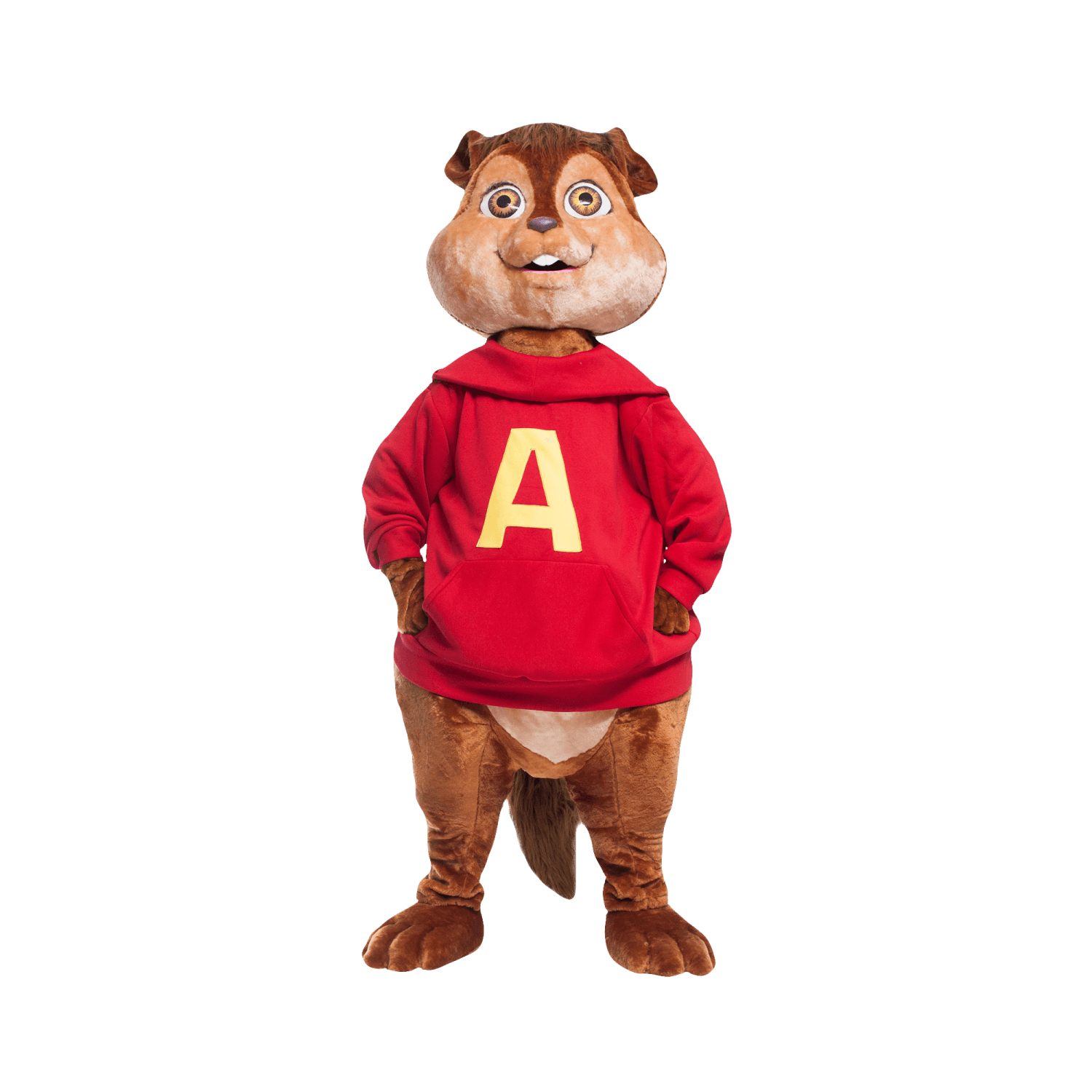 Заказать аниматора на праздник, день рождения