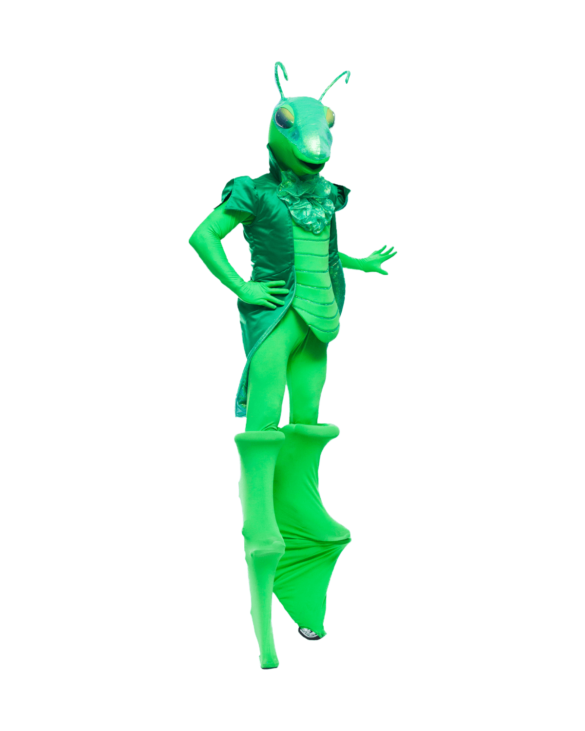 Заказать аниматора на праздник, день рождения