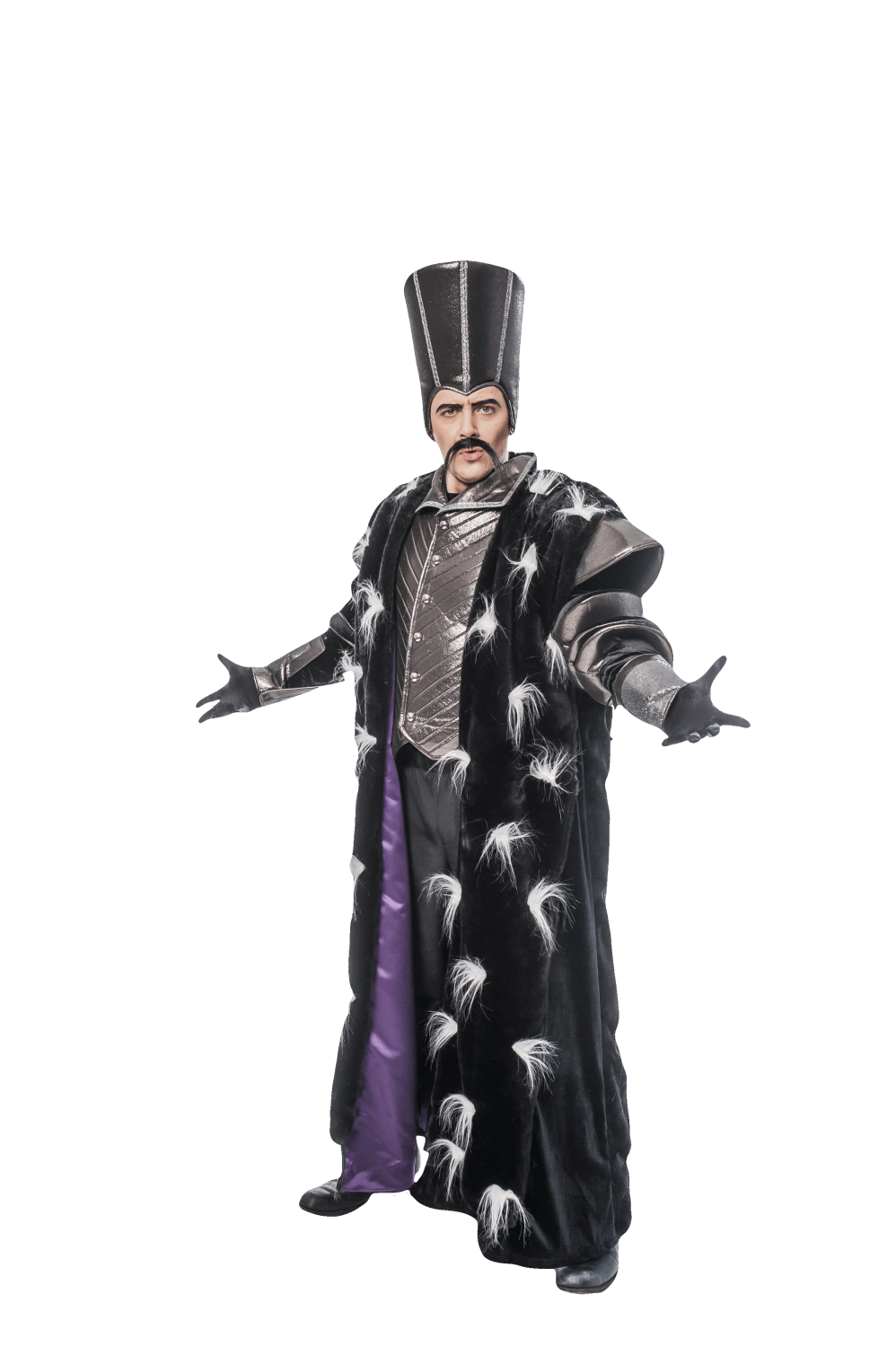 Заказать аниматора на праздник, день рождения