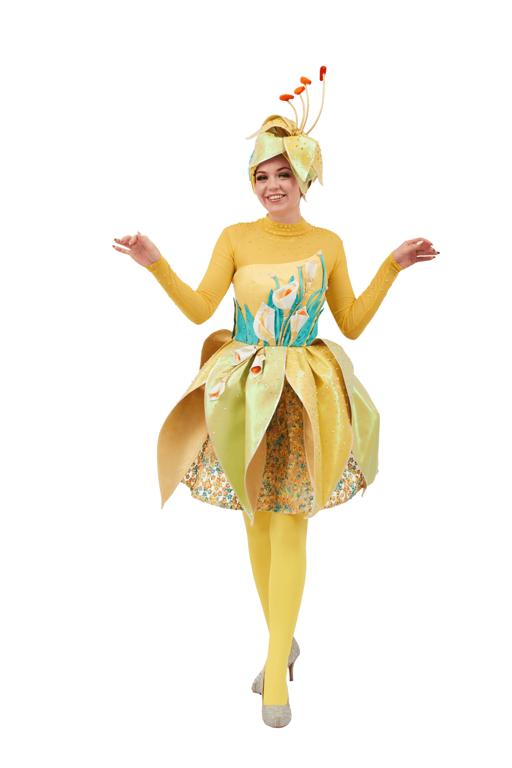 Заказать аниматора на праздник, день рождения