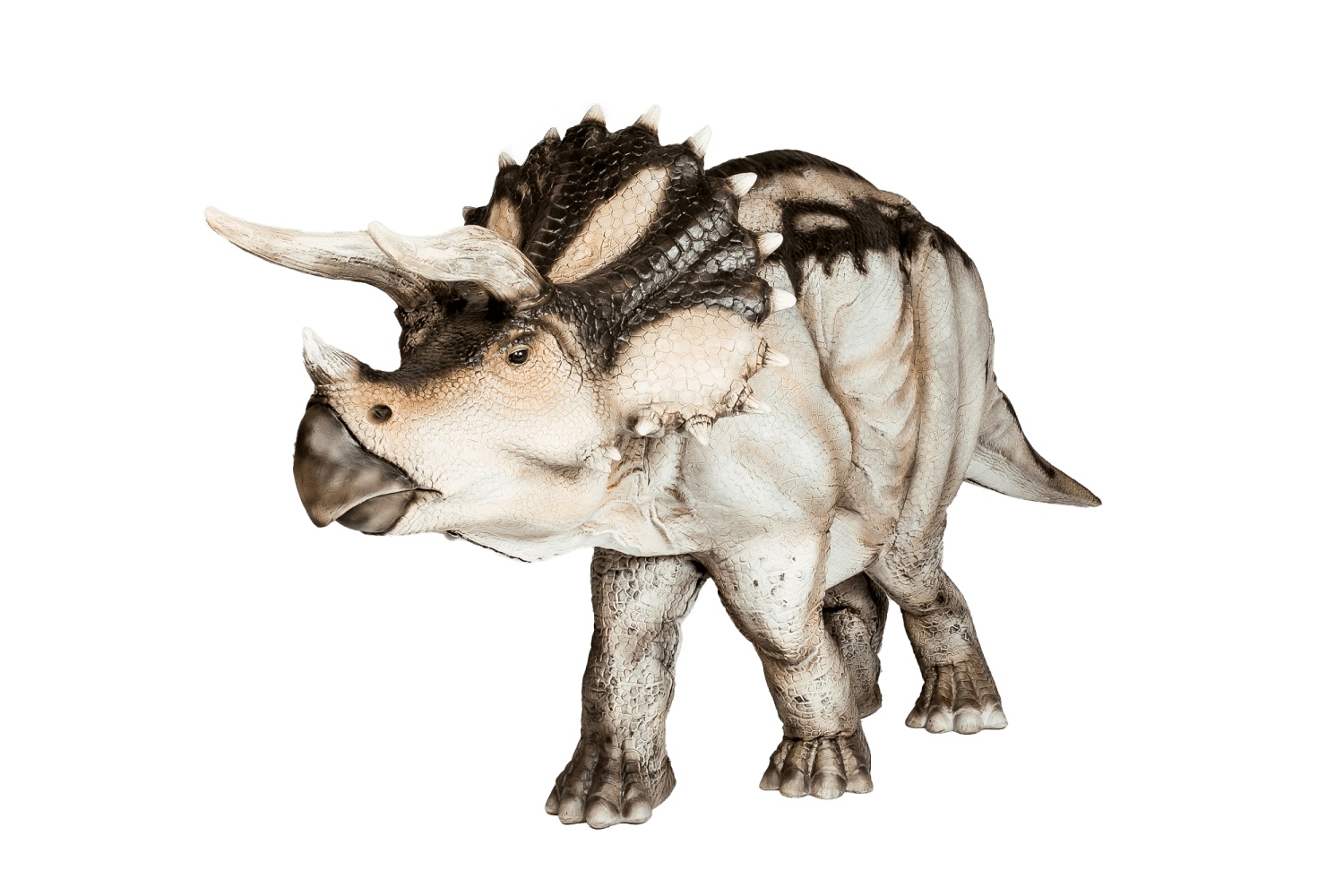 Заказать аниматора на праздник, день рождения