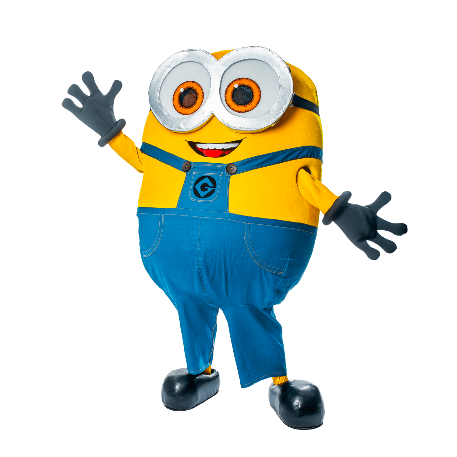 Заказать аниматора на праздник, день рождения