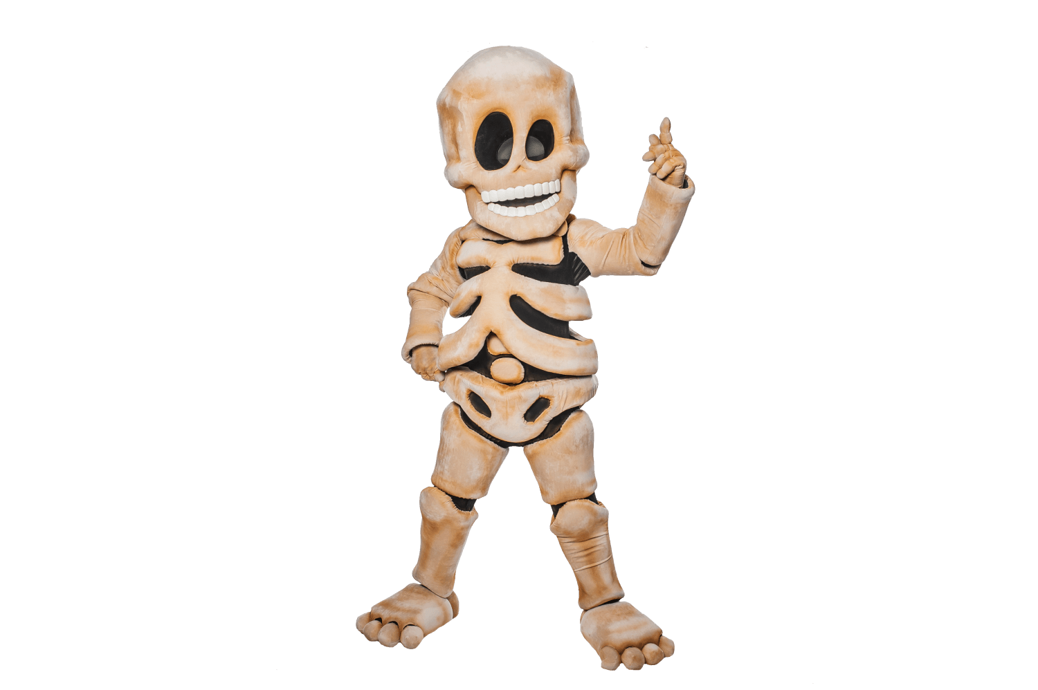 Заказать аниматора на праздник, день рождения