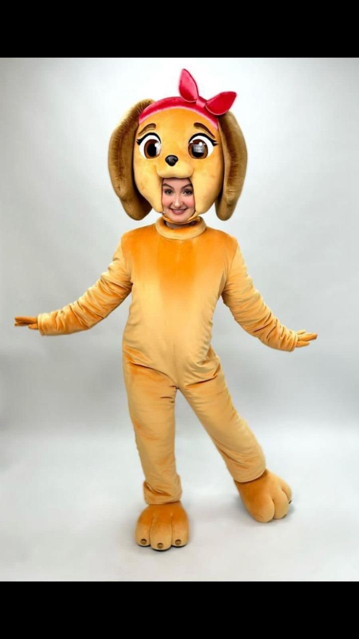 Заказать аниматора на праздник, день рождения