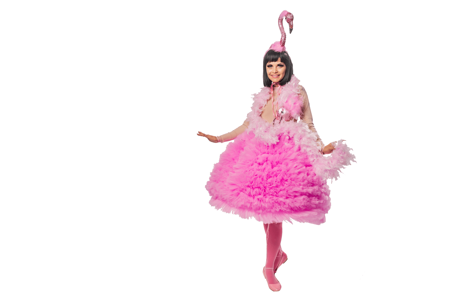 Заказать аниматора на праздник, день рождения