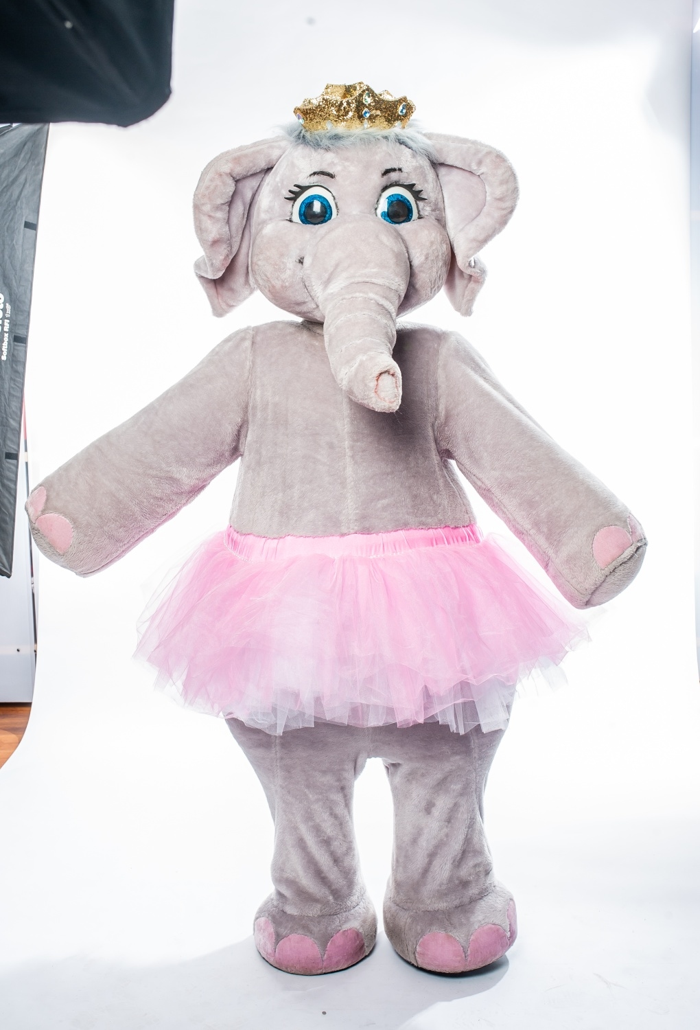 Заказать аниматора на праздник, день рождения