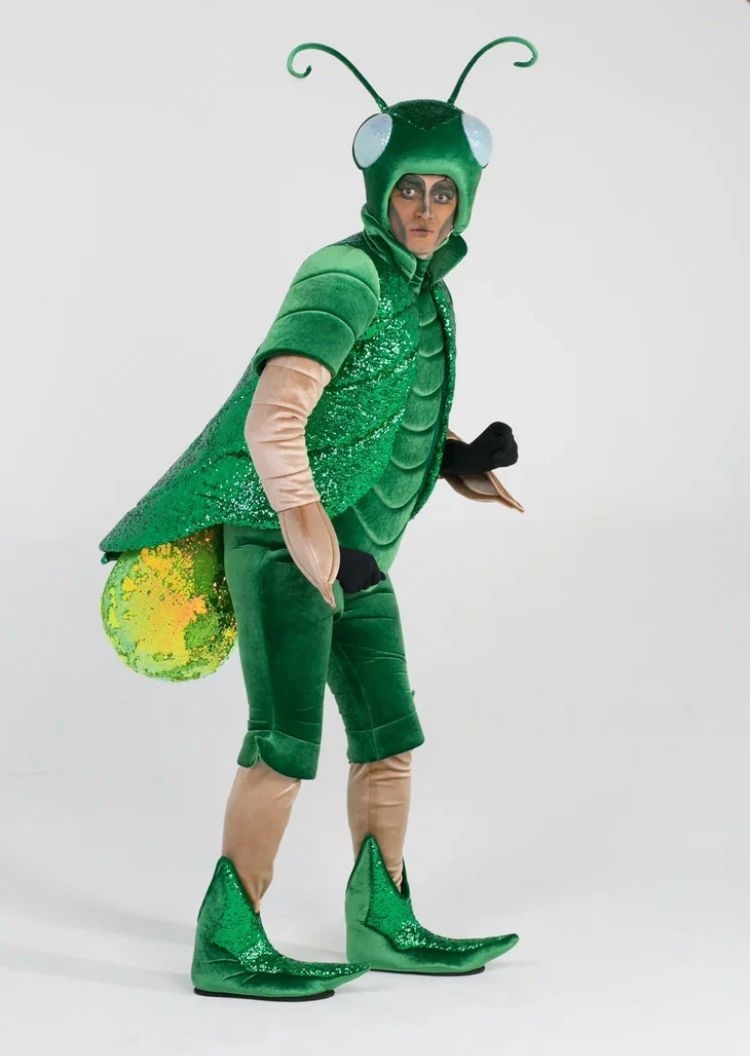 Заказать аниматора на праздник, день рождения