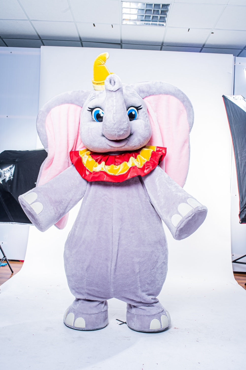 Заказать аниматора на праздник, день рождения