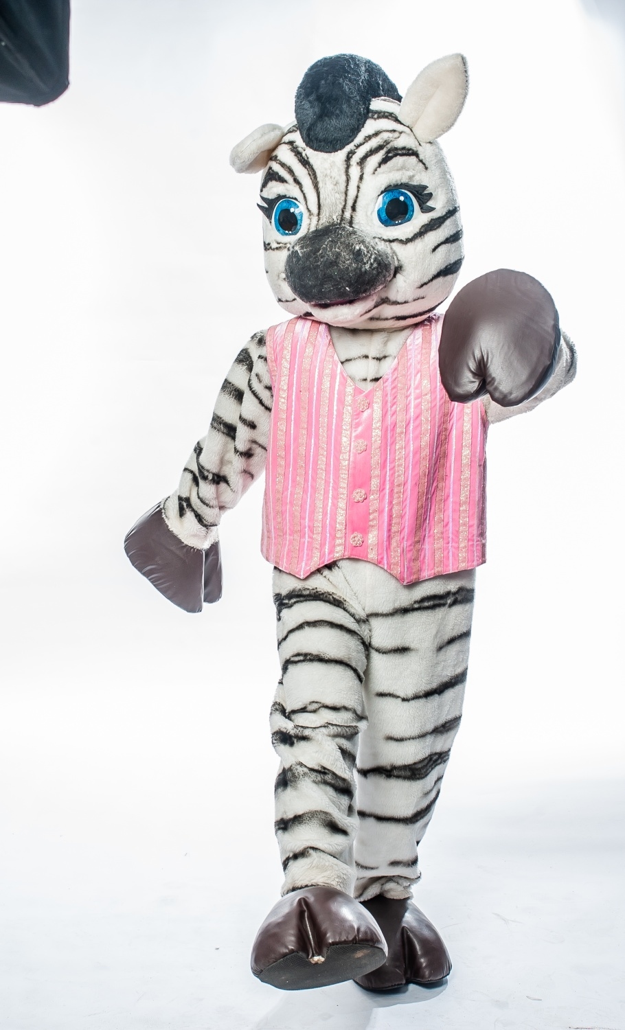 Заказать аниматора на праздник, день рождения