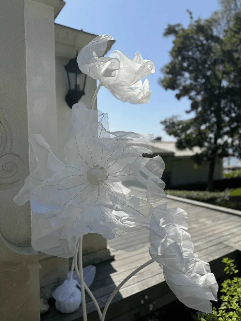 Морешоу Морешоу