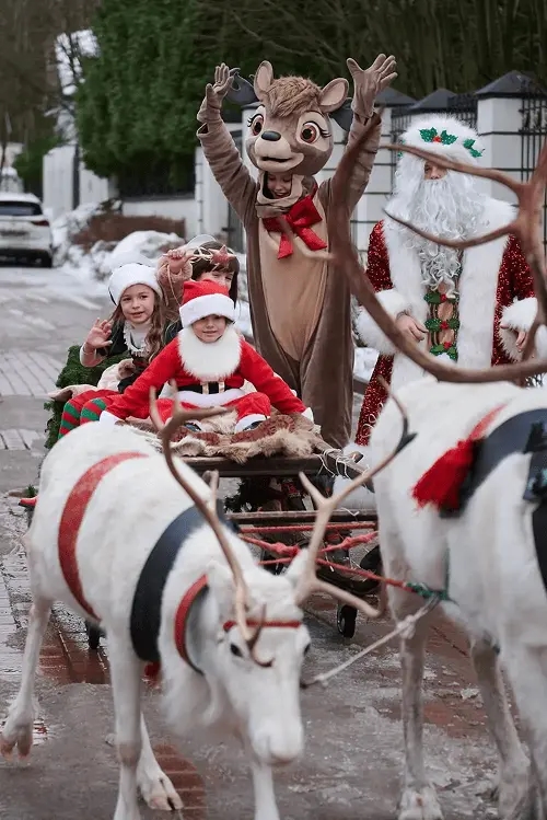 Морешоу Морешоу