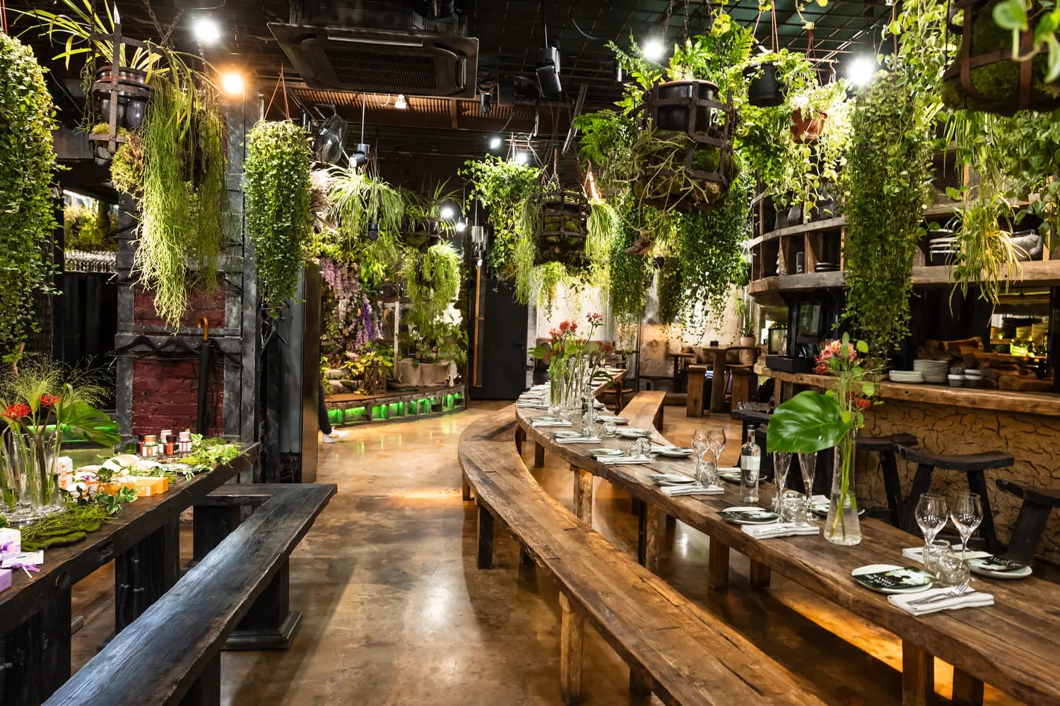 Морешоу Морешоу